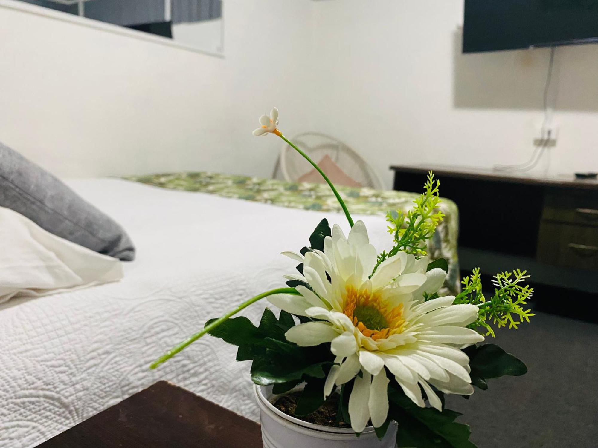 Hostal 3 Norte Сан Антонио Екстериор снимка